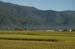 guan san 019